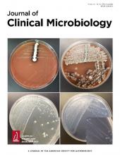 Microbiologia Clinica